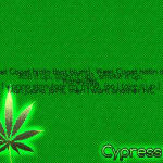 Cypress Hill Cypress Hill – Roll it up, Light it up, Smoke it up [Lyrics]