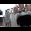 Fireflight Back Lot Stunt Coaster (On-Ride) Canada’s Wonderland